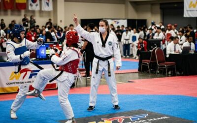 arbitre arts martiaux